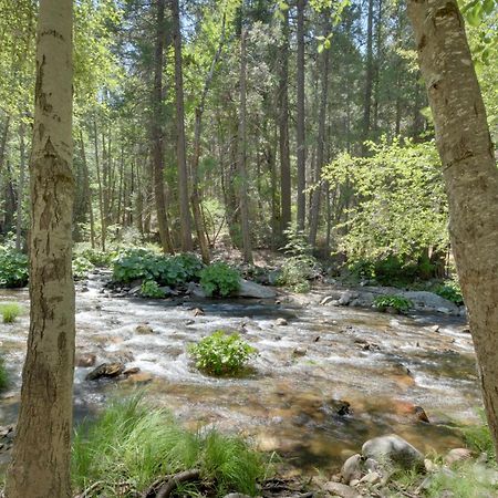 Riverfront Home Near Yosemite National Park! Groveland Exteriér fotografie